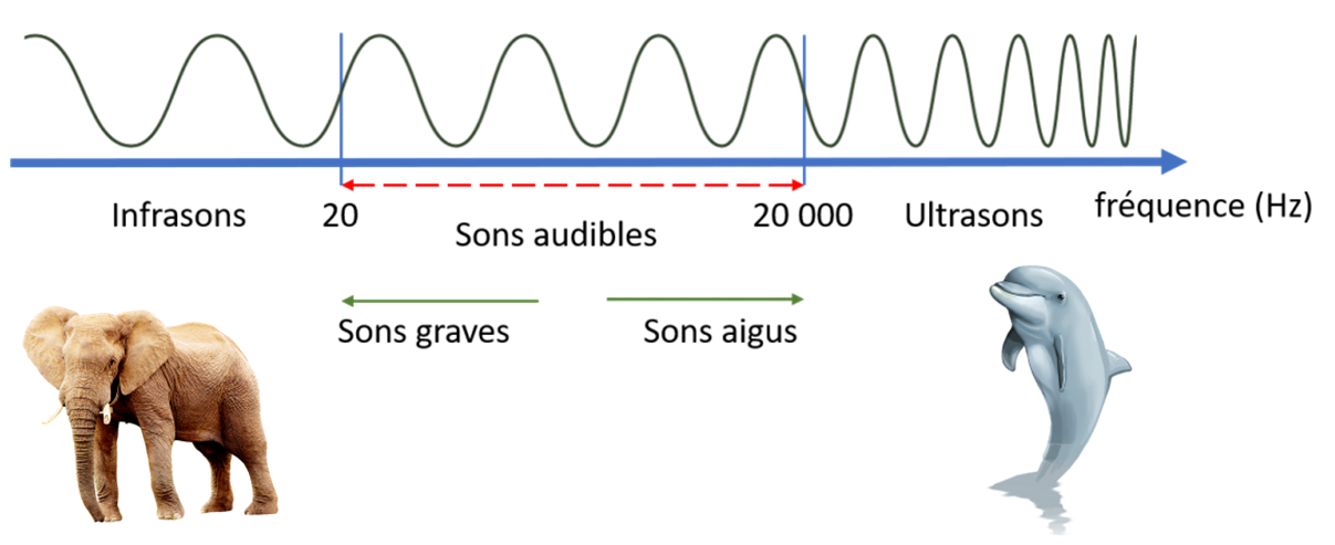 Chap S Les Caract Ristiques Dun Son Tube Essai Site De