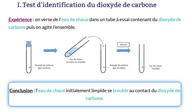 Accompagnement Personnalis Les Tests Didentification De