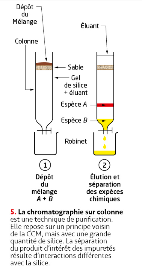 Sp Chap Synth Ses Desp Ces Chimiques Organiques Tube