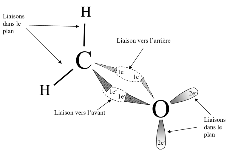 1sp-chap-5-de-la-structure-la-polarit-d-une-entit-tube