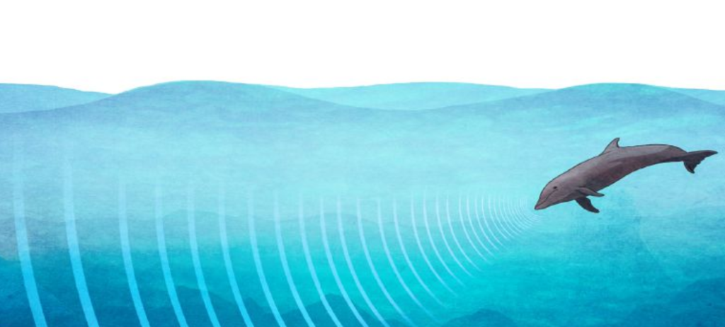 4° > Chap S3 : La vitesse de propagation du son – Tube à Essai, site de