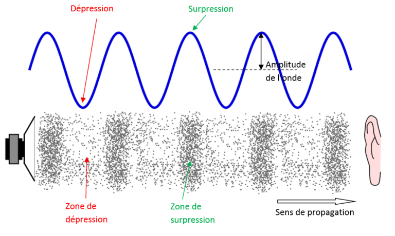 1° Ens Scientif – Chap 11 : Le son – Phénomène vibratoire – Tube à